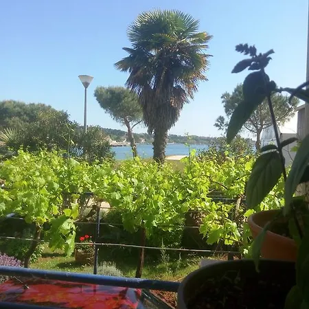 Linea Mare Apartman