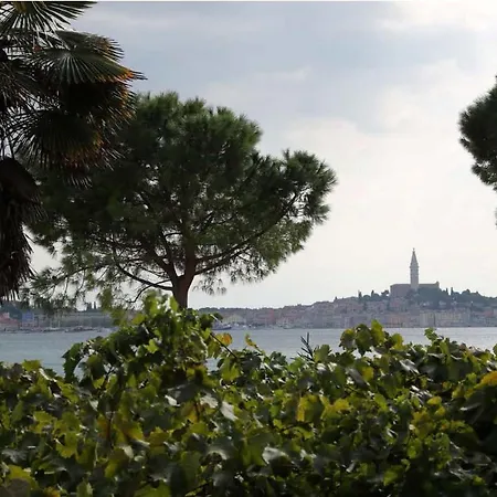 Linea Mare Rovinj