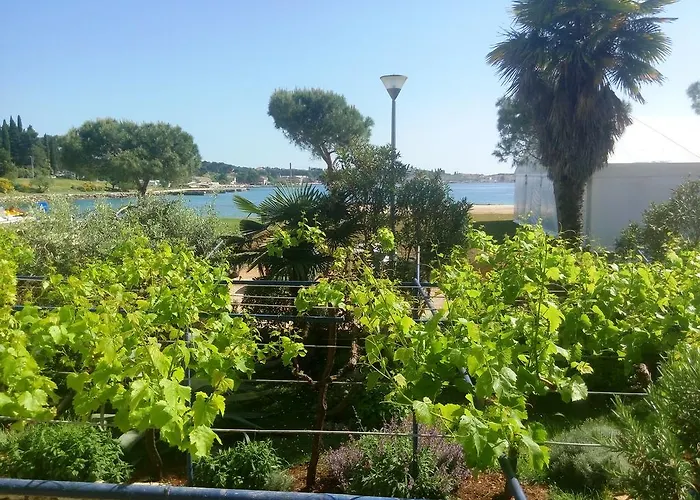 Linea Mare Apartman Rovinj